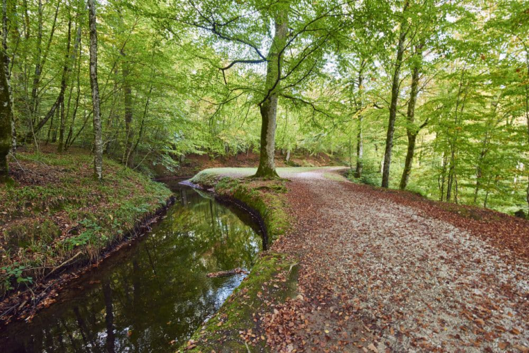 Rigole dans la Montagne Noire