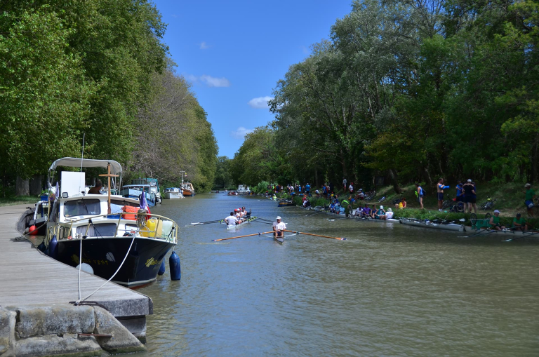 Rallye du canal du Midi en aviron